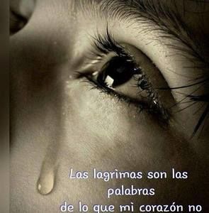 Meet your Posher, La